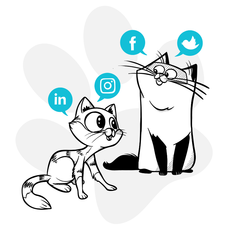 Social Media Cats