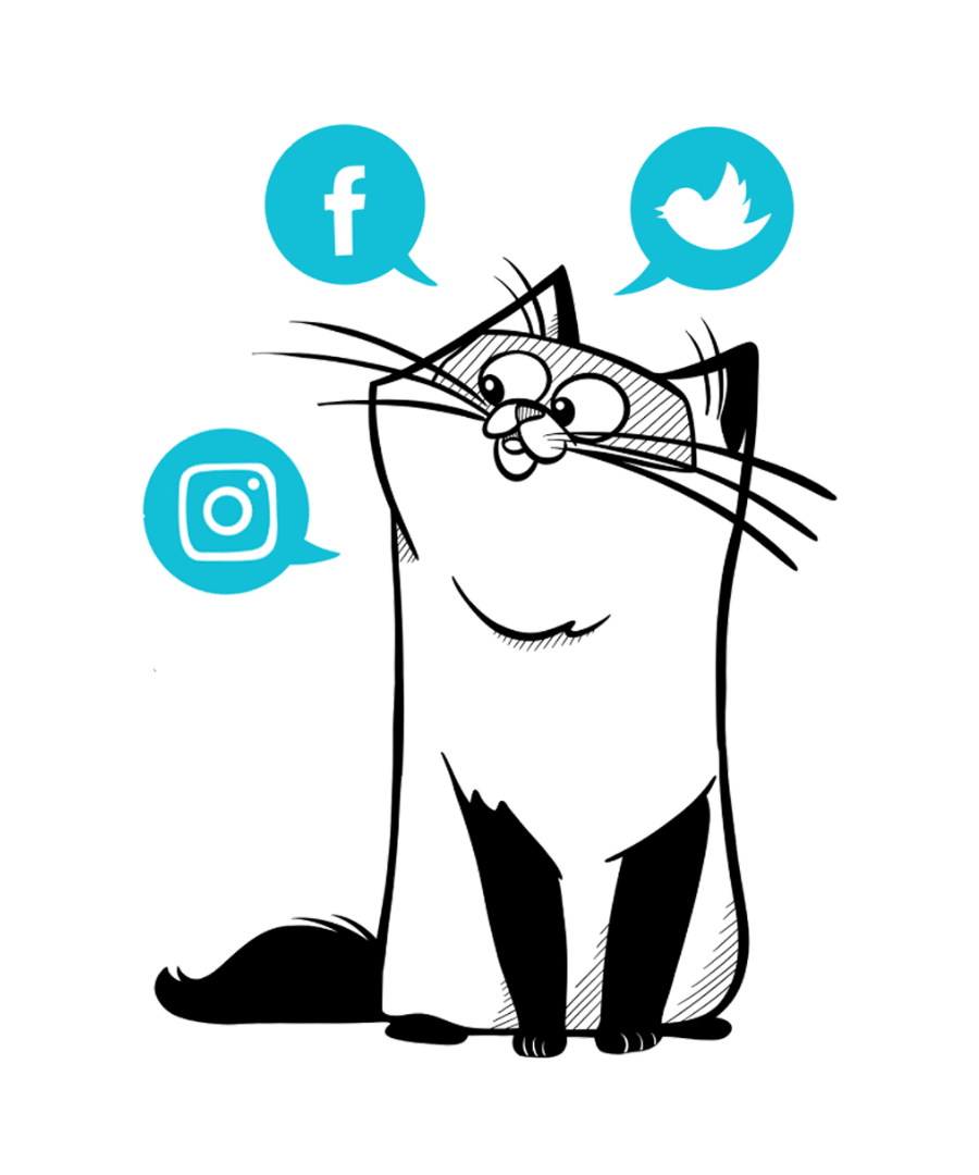 Social Media (lone Cat)